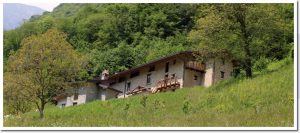 L'agriturismo immerso nel verde