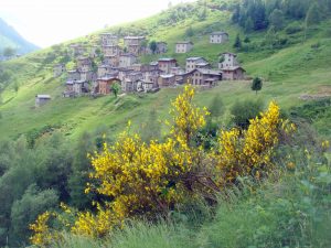 L'Alpe Premaniga