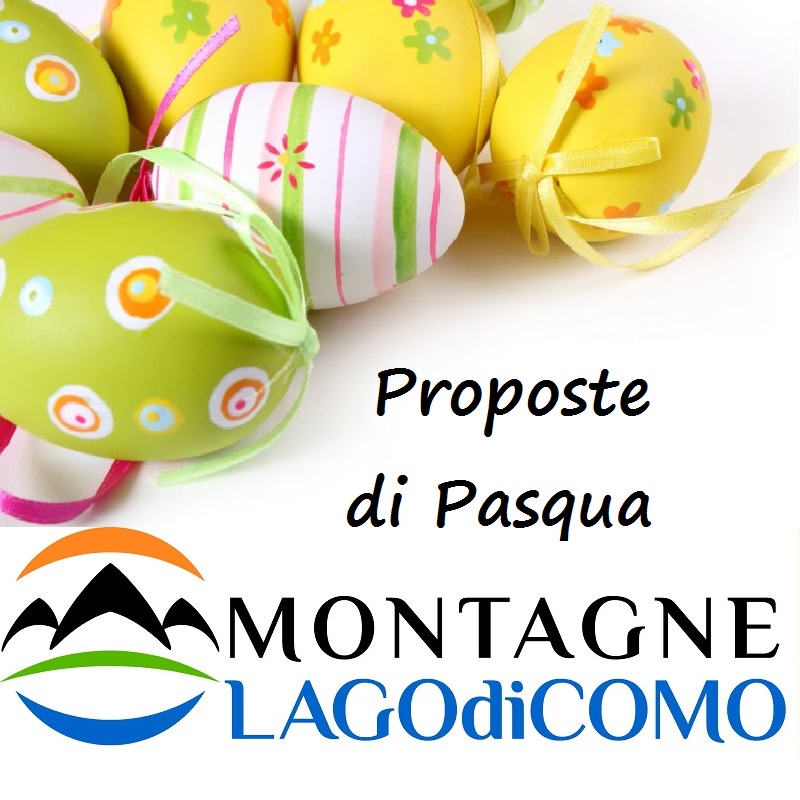 pasqua MLC