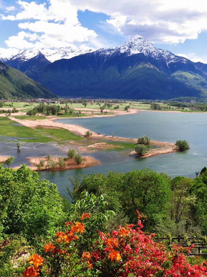 Aplicando Estoy orgulloso Respectivamente Riserva naturale di Pian di Spagna - Lago di Como e Valsassina